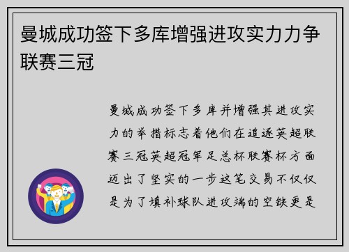 曼城成功签下多库增强进攻实力力争联赛三冠