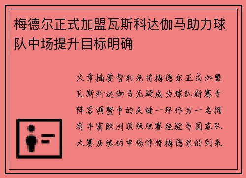 梅德尔正式加盟瓦斯科达伽马助力球队中场提升目标明确
